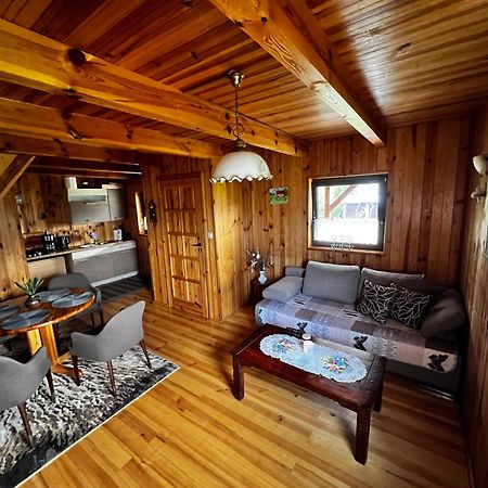Domek U Karkonosza Villa Kamienna Gora Bagian luar foto
