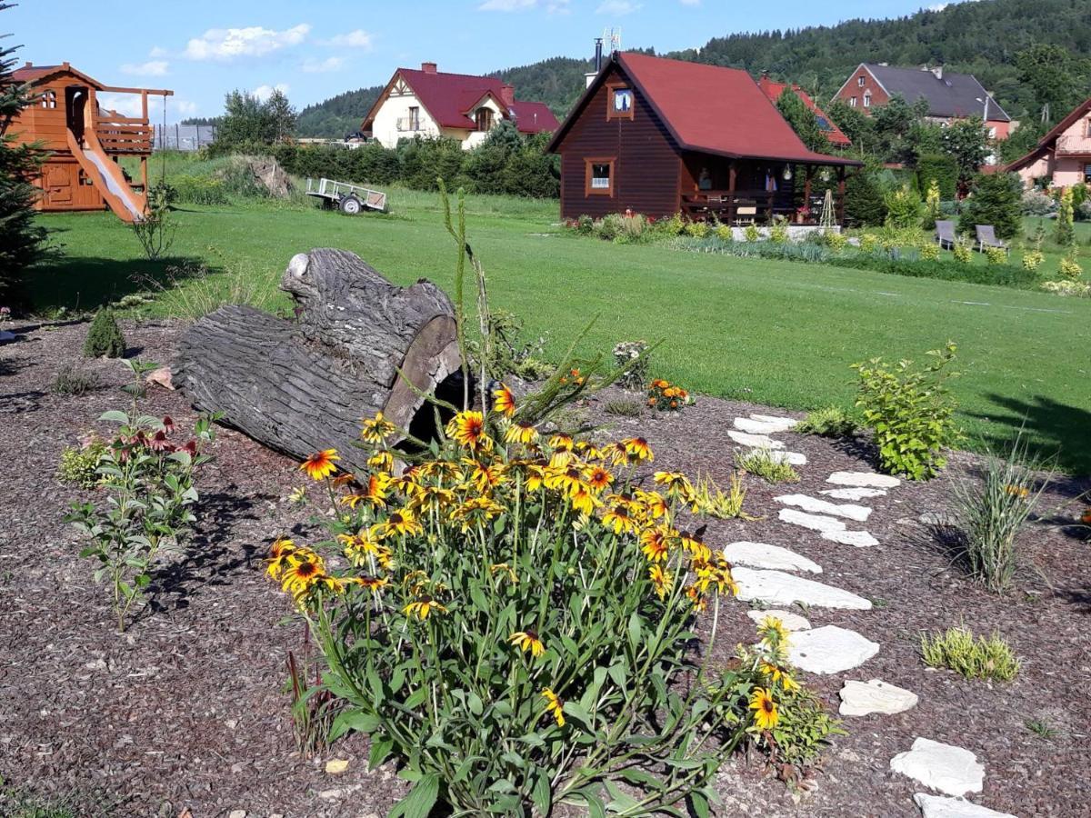 Domek U Karkonosza Villa Kamienna Gora Bagian luar foto