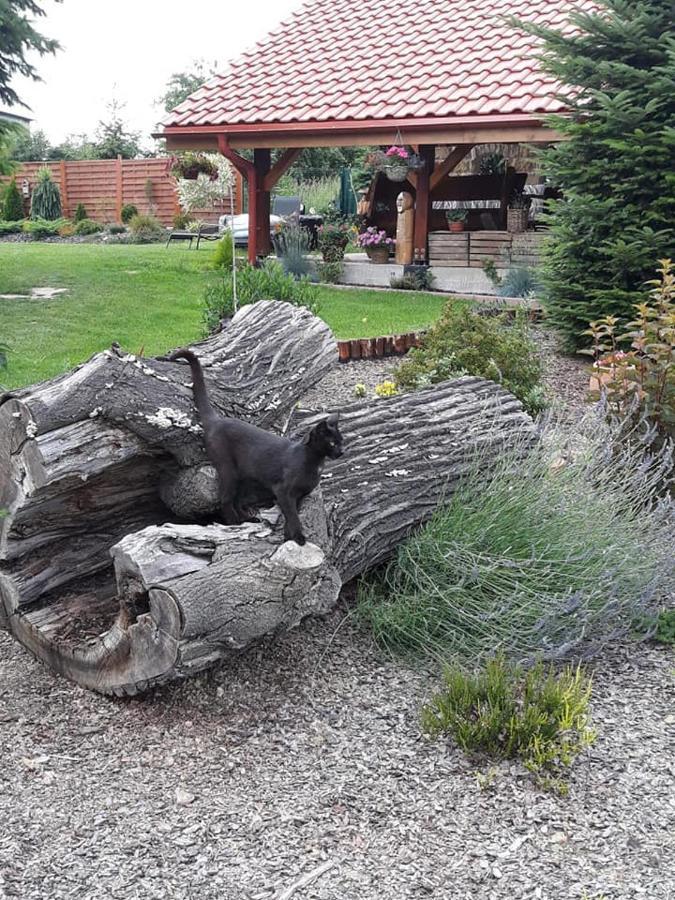Domek U Karkonosza Villa Kamienna Gora Bagian luar foto