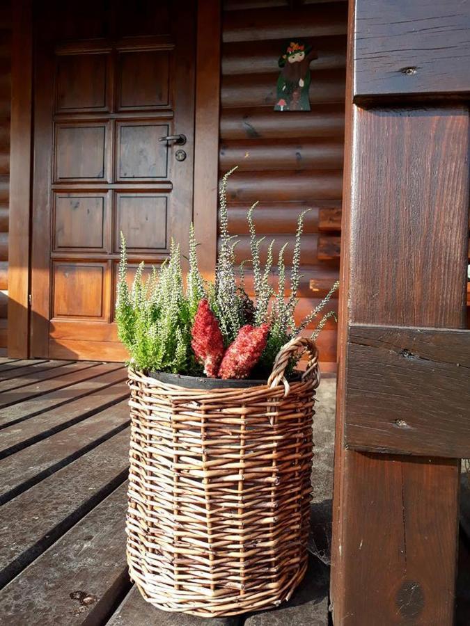Domek U Karkonosza Villa Kamienna Gora Bagian luar foto