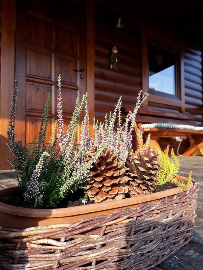 Domek U Karkonosza Villa Kamienna Gora Bagian luar foto