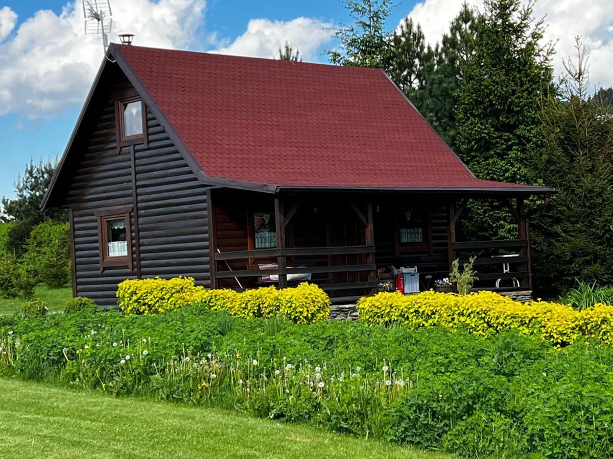 Domek U Karkonosza Villa Kamienna Gora Bagian luar foto